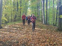 Zloty Lisc 2021 (52)